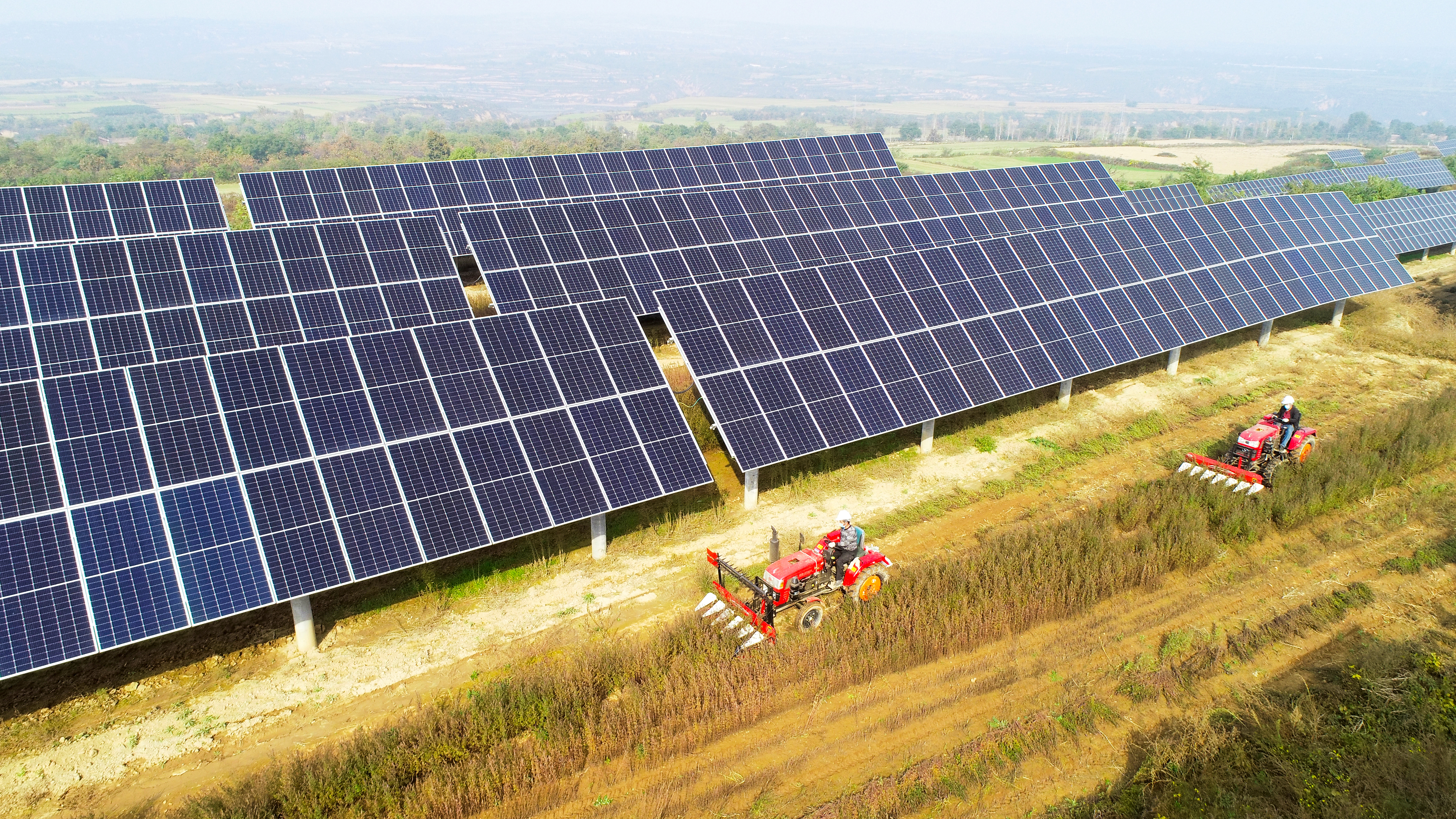 1720579342585030921.jpg 图3.大唐西安热电厂永寿高庙山光伏电站进行中草药收割工作,实现惠农共赢.jpg